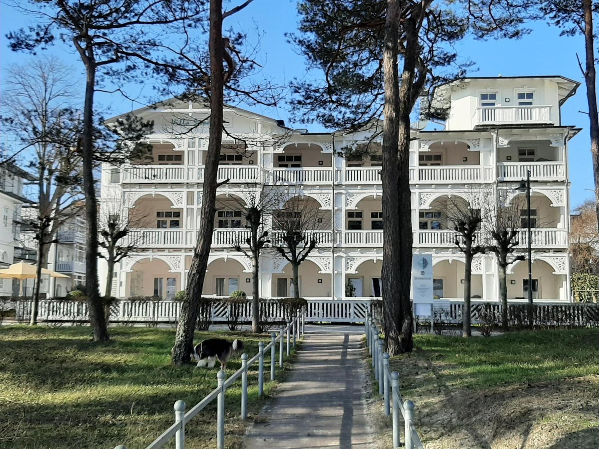 Ferienwohnung Ostseeblick In Der Villa Seeadler Binz Dış mekan fotoğraf